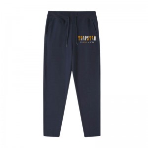 Blue Men's Trapstar It’s a Secret Streetwear Pants Australia | TN43-920