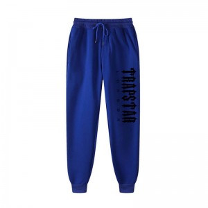 Blue Men's Trapstar London Cargo Pants Australia | PJ73-866