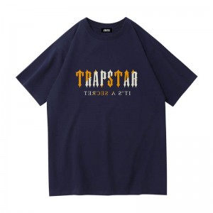 Blue Men's Trapstar Shinning Galaxy its a Secret T Shirts Australia | WF11-173